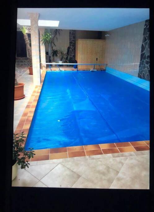 Penthouse Bernd Im Waldschloesschen Direkt Am See ويندستش ريتز المظهر الخارجي الصورة