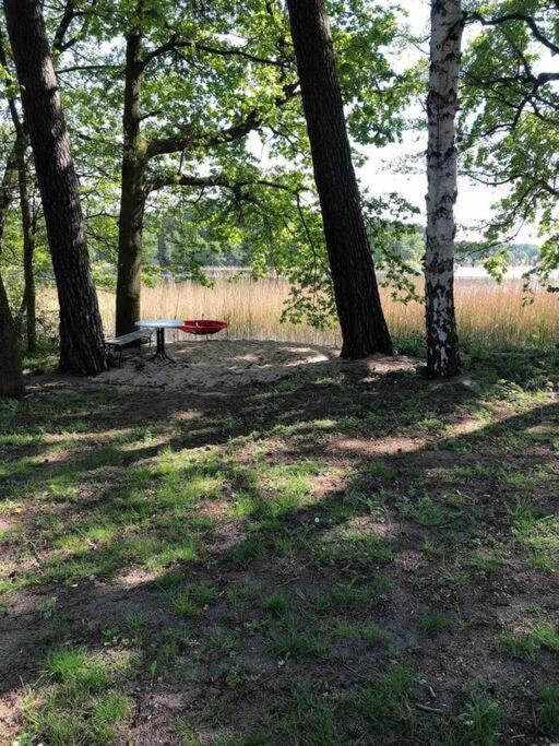 Penthouse Bernd Im Waldschloesschen Direkt Am See ويندستش ريتز المظهر الخارجي الصورة